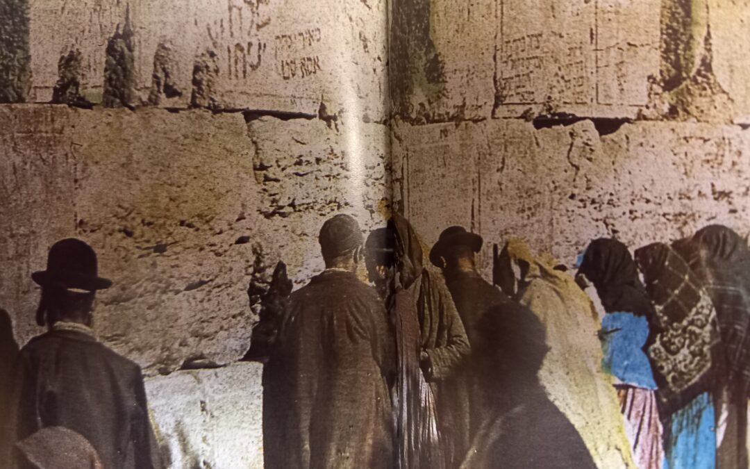 SENIOR: Auf den Spuren des Volkes Gottes in Israel